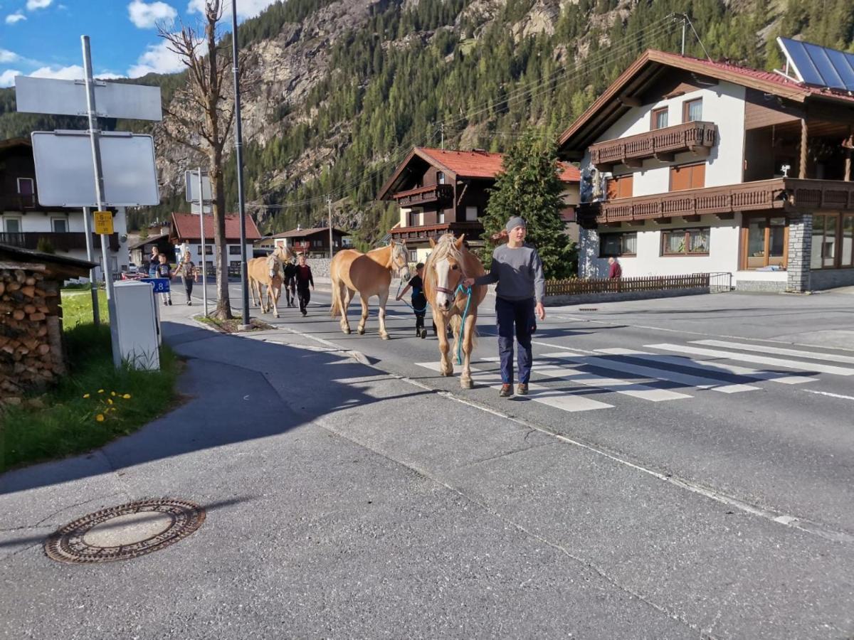 Apartmán Honzarhof Längenfeld Exteriér fotografie