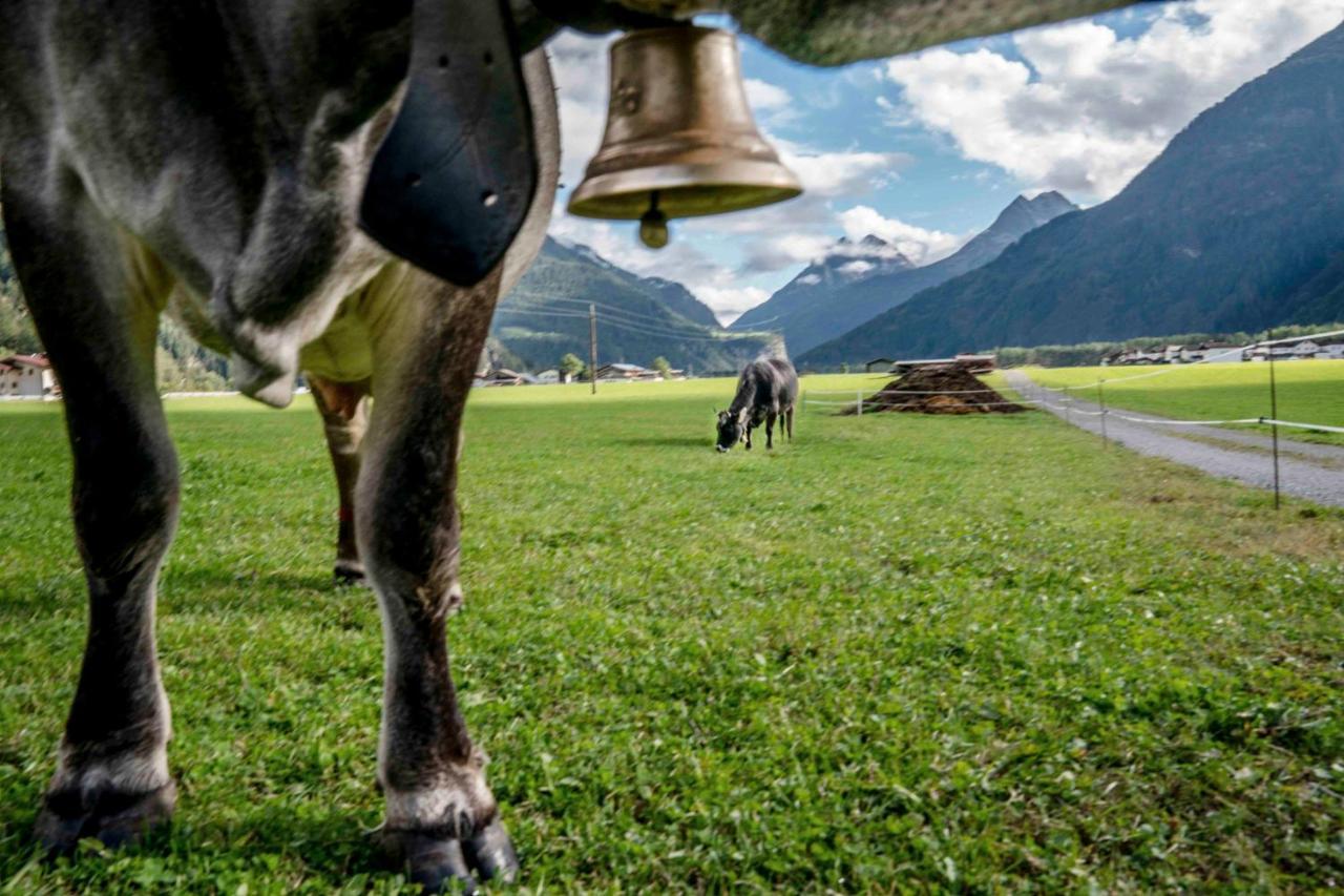 Apartmán Honzarhof Längenfeld Exteriér fotografie