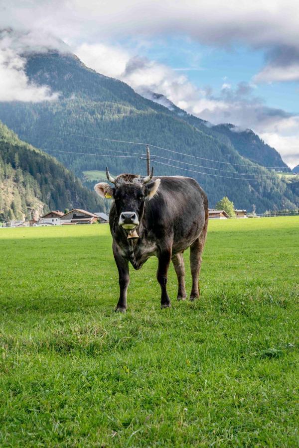 Apartmán Honzarhof Längenfeld Exteriér fotografie