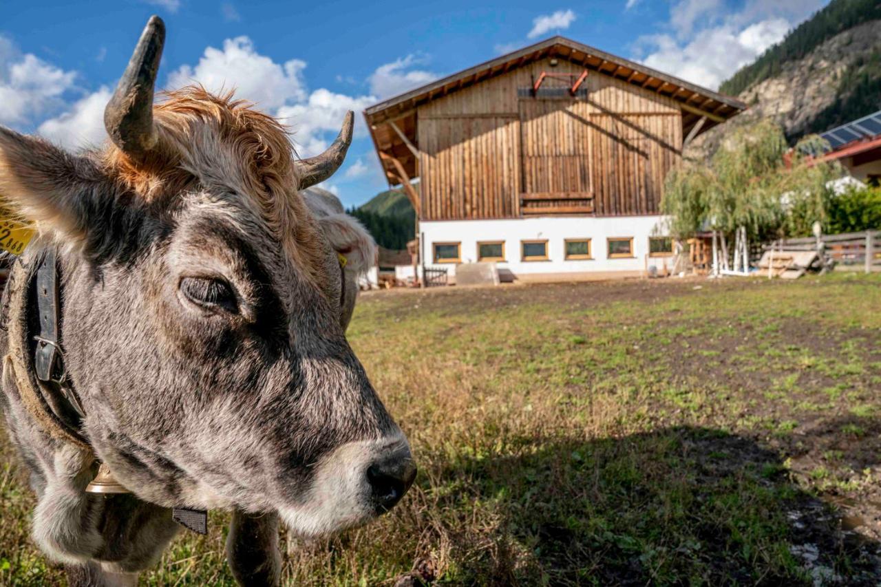 Apartmán Honzarhof Längenfeld Exteriér fotografie